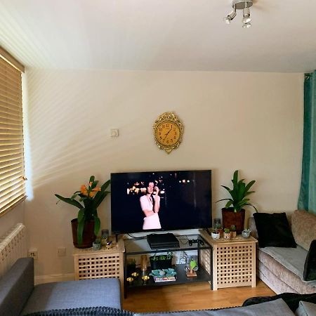 Garden Beautiful Cozy Flat , recent decorated. Apartment Londra Exterior foto