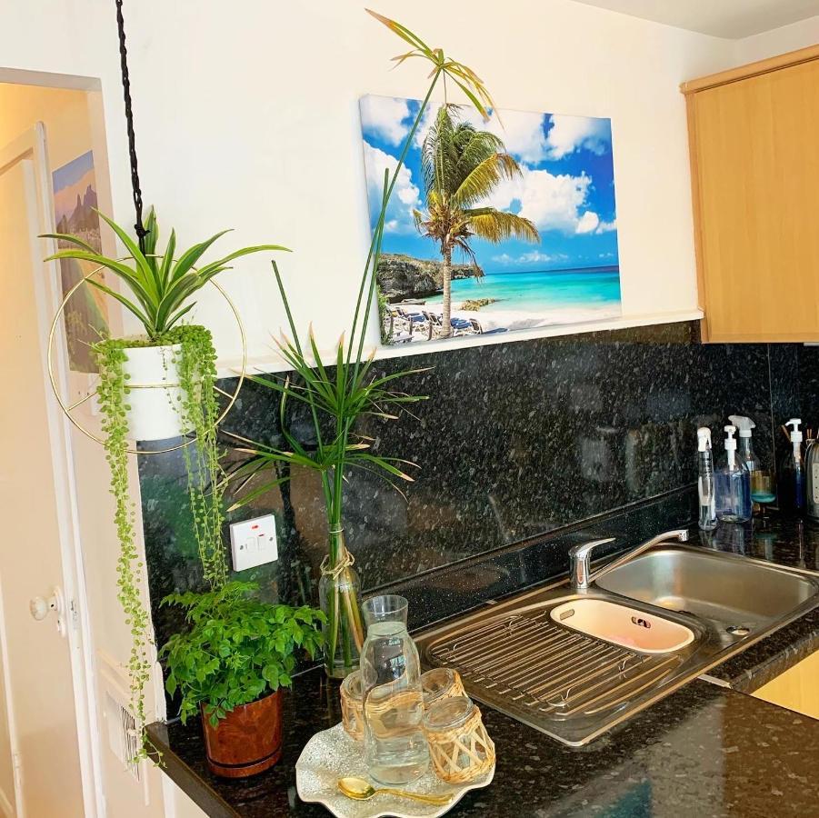 Garden Beautiful Cozy Flat , recent decorated. Apartment Londra Exterior foto