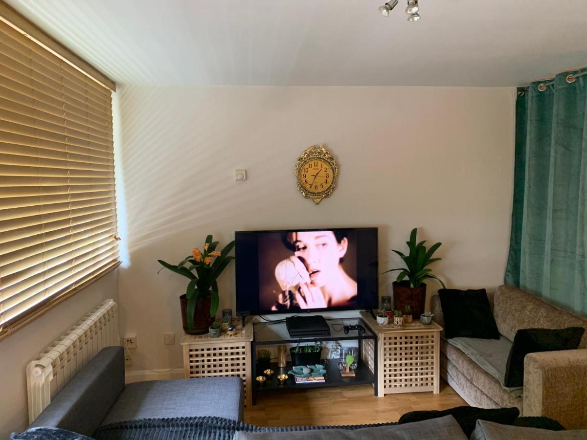 Garden Beautiful Cozy Flat , recent decorated. Apartment Londra Exterior foto