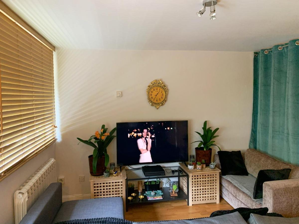 Garden Beautiful Cozy Flat , recent decorated. Apartment Londra Exterior foto
