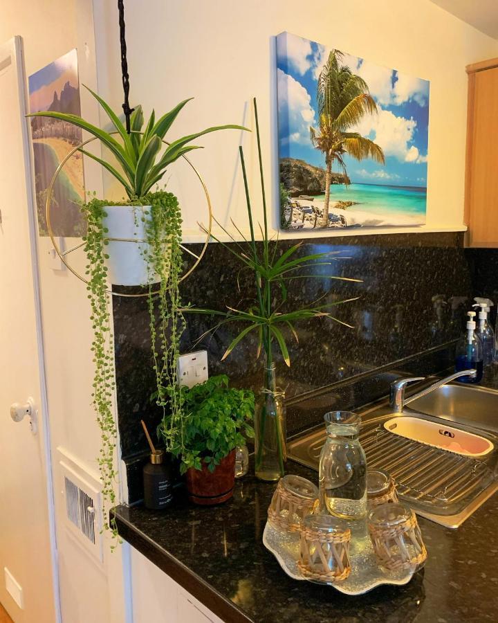 Garden Beautiful Cozy Flat , recent decorated. Apartment Londra Exterior foto